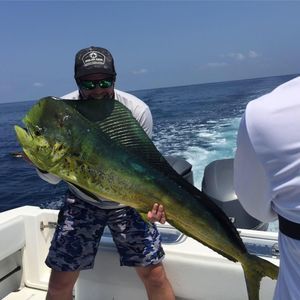 Meet your Posher, Lee